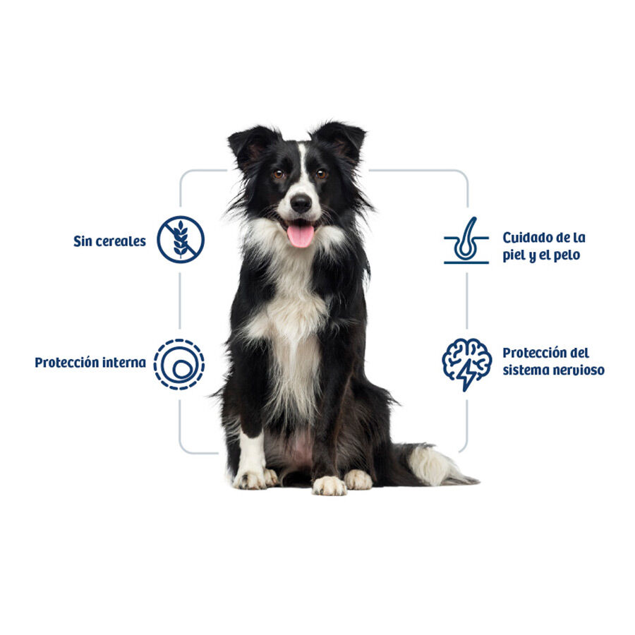 12 kg Nath Adult Medium / Maxi Sensitive Peixe Branco e Salm&atilde;o ra&ccedil;&atilde;o para c&atilde;es, , large Imagem n&uacute;mero 2