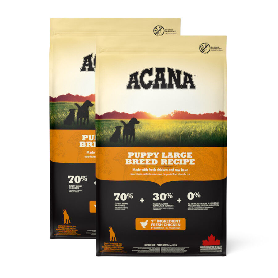 2 x 11.4 kg Acana Puppy Large Breed Frango Ra&ccedil;&atilde;o para c&atilde;es Pack poupan&ccedil;a!, , large Imagem n&uacute;mero 1