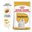 1.5 kg Royal Canin Adult Bichón Maltês ração para cães , , large Indicador imagem número 2