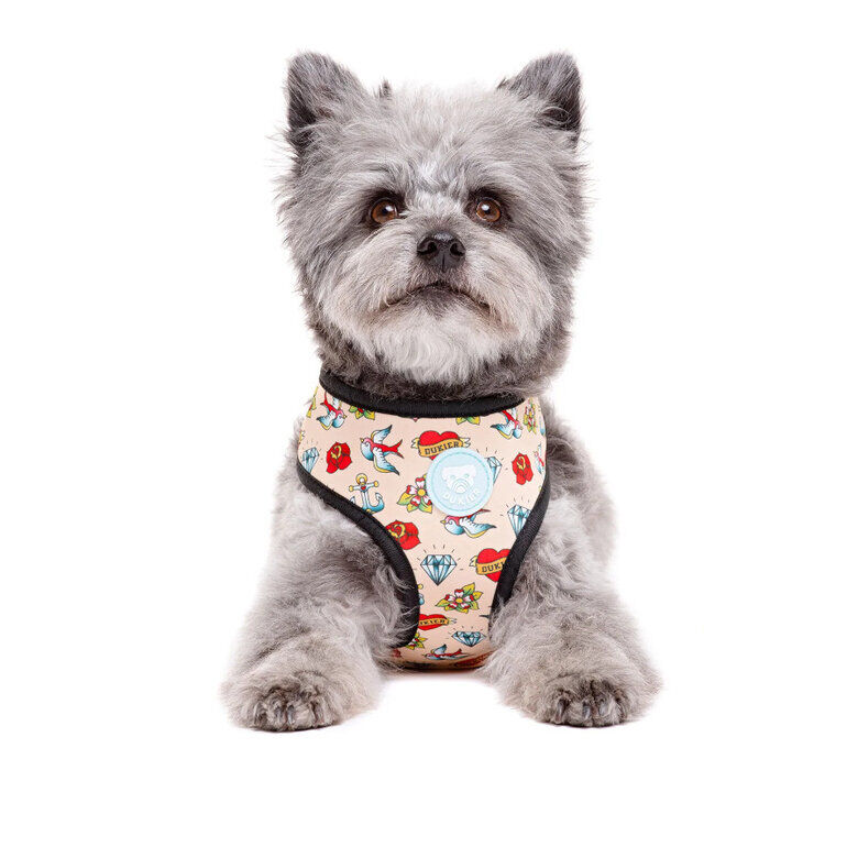 Dukier Peitoral revers&iacute;vel com estampado de tatuagem para c&atilde;es, , large Imagem n&uacute;mero 3