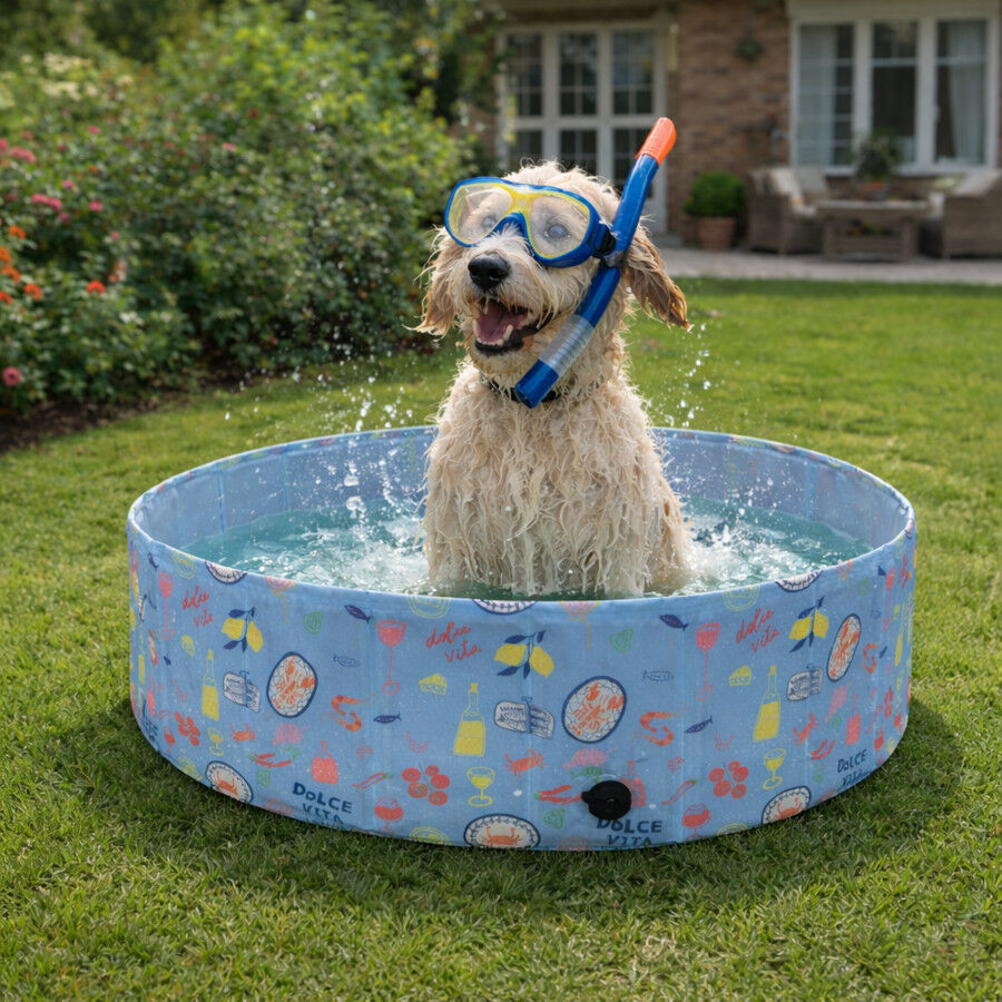Summer Vibes Pool Funny Dolce Vita Piscina para c&atilde;es, , large Imagem n&uacute;mero 1