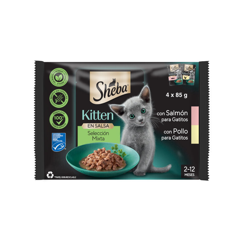 4 saquetas x 85 g Sheba Kitten Sachê de Frango e Salmão em Molho para Gatos,  Imagem número 1 4 saquetas x 85 g Sheba Kitten Sachê de Frango e Salmão em Molho para Gatos, , large Imagem número 1
