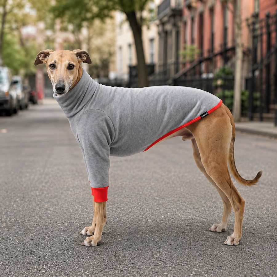 Gotoo Camisola Cinzenta para galgos, , large Imagem n&uacute;mero 1