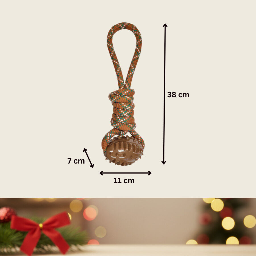 Wonder Christmas Brinquedo de Corda e Mordedor de Natal para C&atilde;es, , large Imagem n&uacute;mero 4