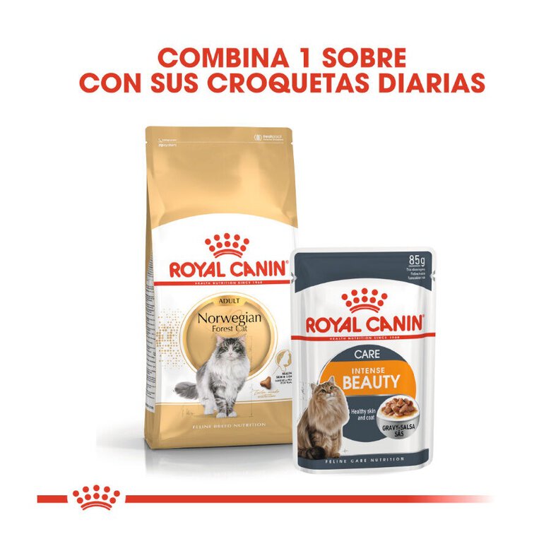 10 kg Royal Canin Adult Bosques da Noruega Ração para gatos,  Imagem número 3 10 kg Royal Canin Adult Bosques da Noruega Ração para gatos, , large Imagem número 3