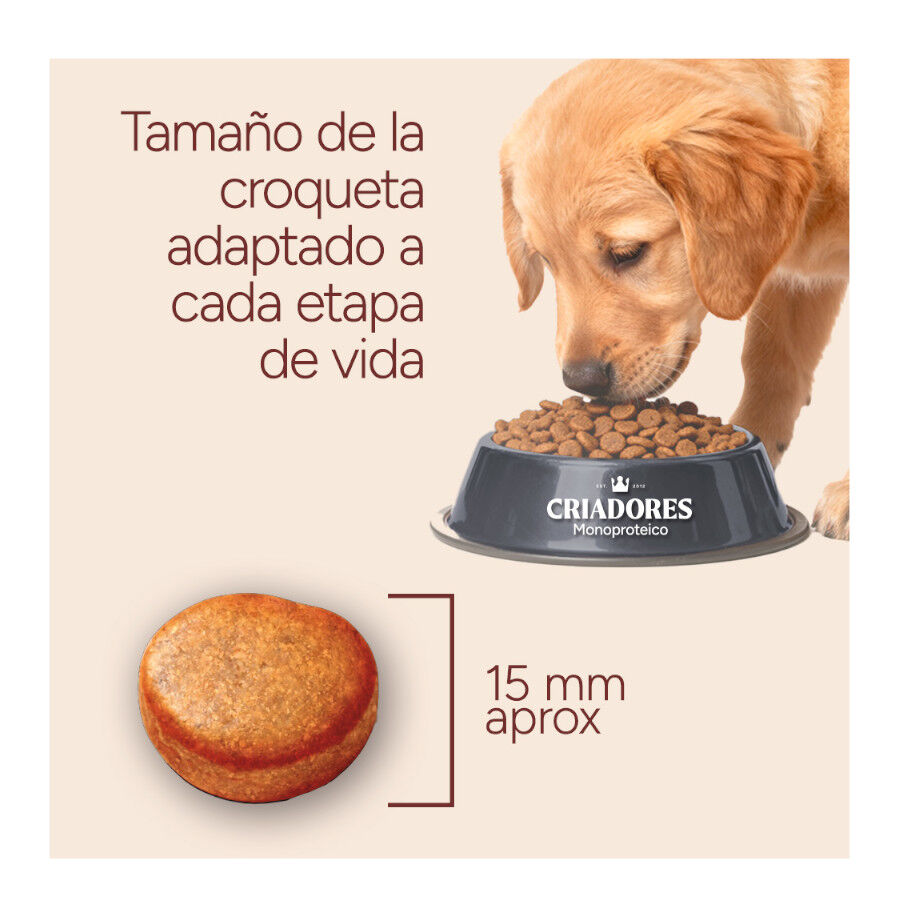 10 kg Criadores Monoproteico Adulto Ra&ccedil;&atilde;o de cordeiro para c&atilde;es, , large Imagem n&uacute;mero 8