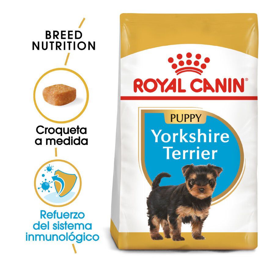 Royal Canin Puppy Yorkshire Terrier ra&ccedil;&atilde;o para c&atilde;es, , large Imagem n&uacute;mero 2