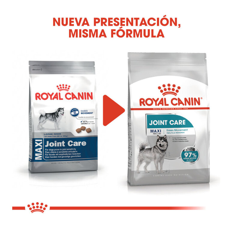 Royal Canin Maxi Joint Care ração para cães, , large image number null
