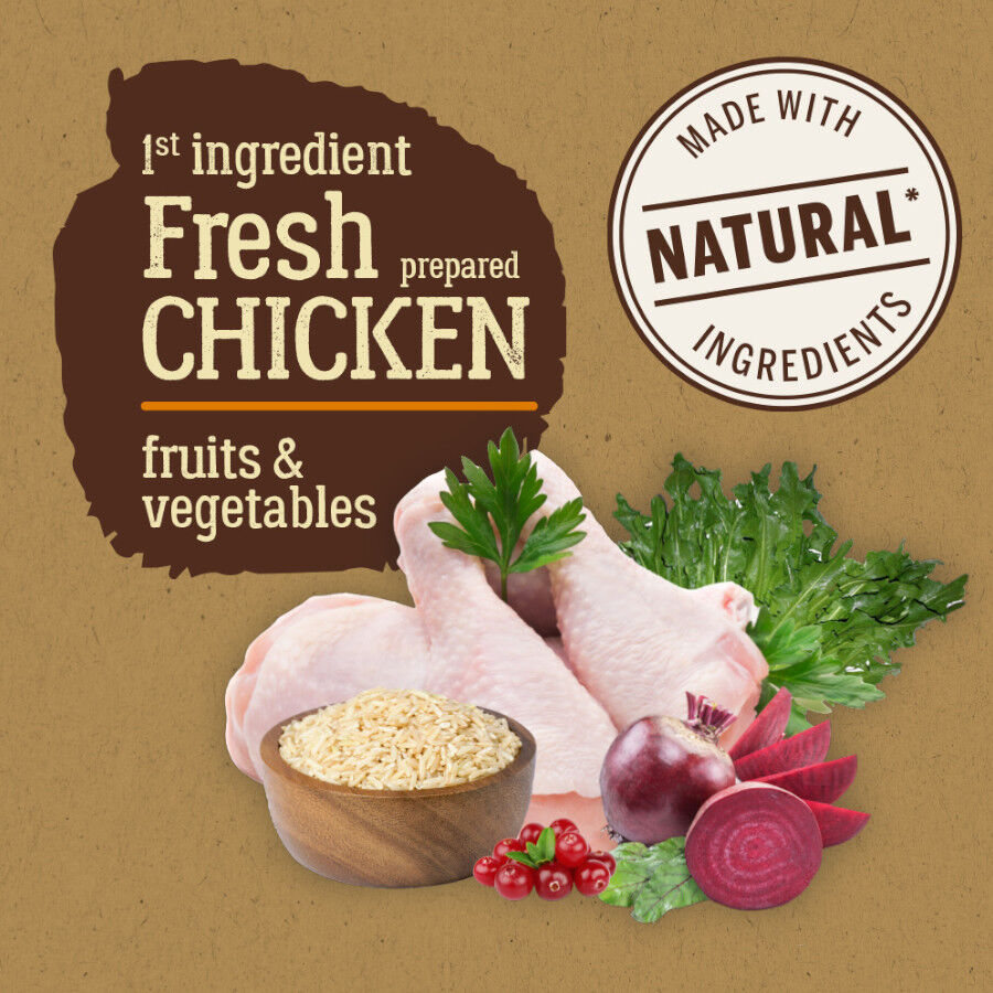 2 kg True Origins Pure Kitten Poultry Frango ra&ccedil;&atilde;o para gatos, , large Imagem n&uacute;mero 3