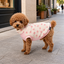 Gotoo Camisola com Padr&atilde;o de Estrelas para c&atilde;es, , large Indicador imagem n&uacute;mero 1