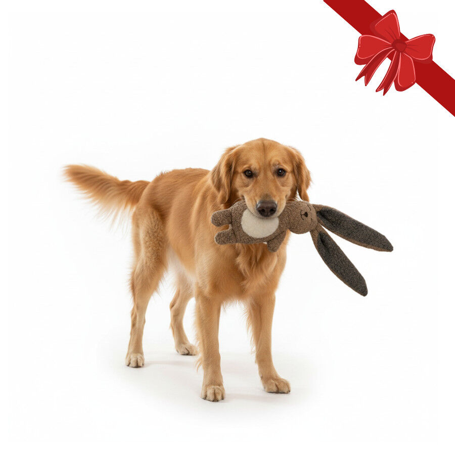 Wonder Christmas Peluche Coelho de Natal para C&atilde;es, , large Imagem n&uacute;mero 1