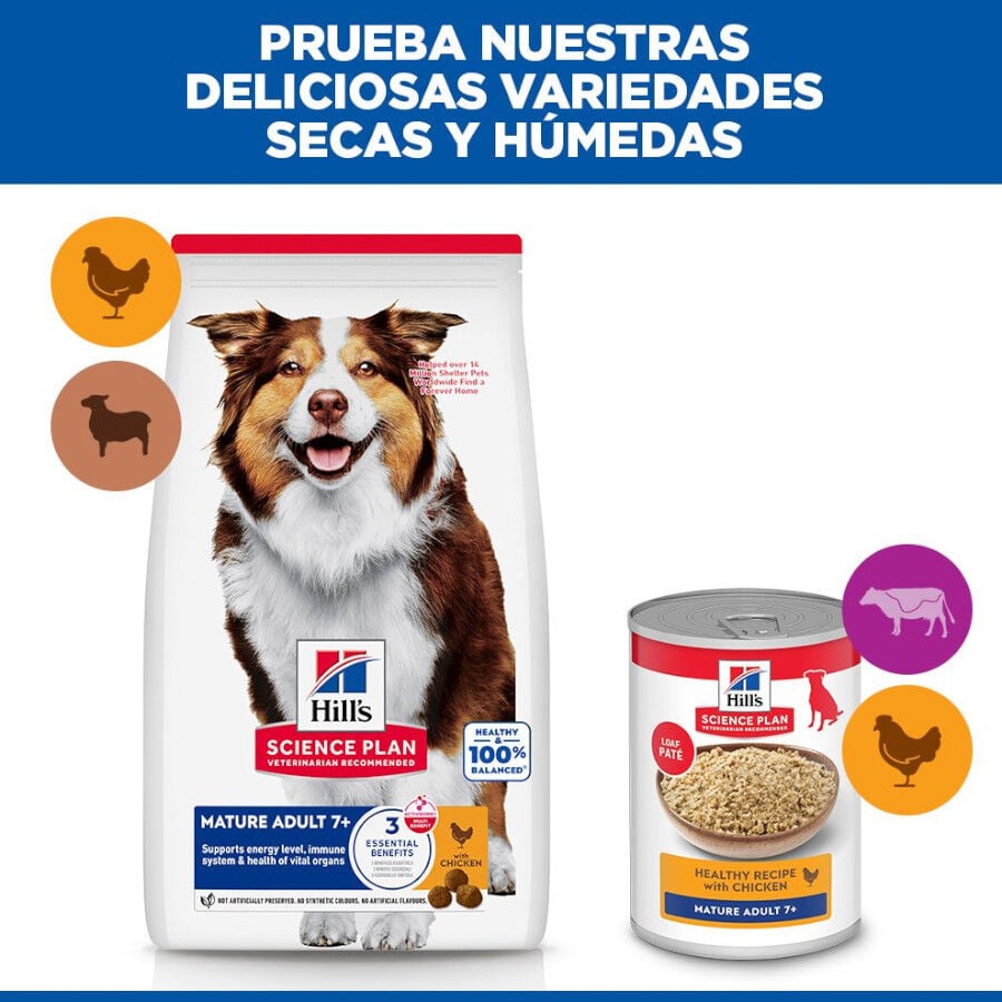 2 x 14 kg Hill's Science Plan Medium Mature Adult Frango ra&ccedil;&atilde;o para c&atilde;es Pack poupan&ccedil;a!, , large Imagem n&uacute;mero 8