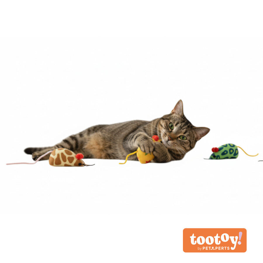 Tootoy! Comfort & Relax Kit ratinhos para gatos, , large Imagem n&uacute;mero 9