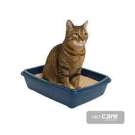 Nice Care caixa de areia azul para gatos