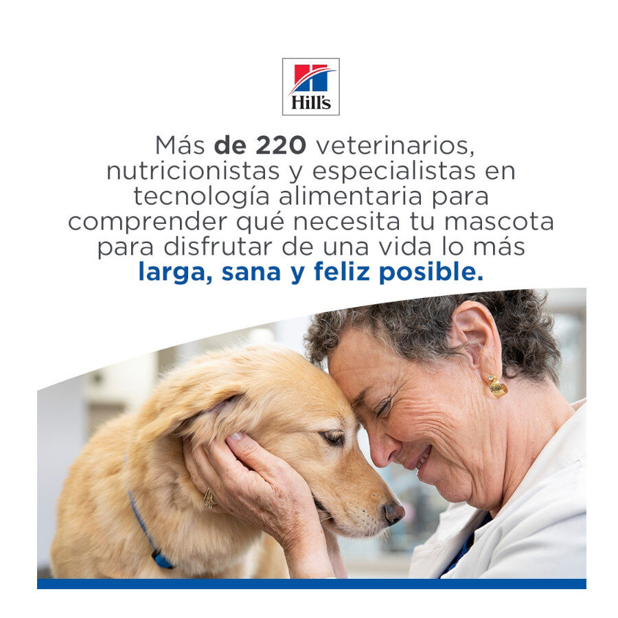85 g Hill's Kitten Science Plan Peixe Azul saqueta em molho, , large Imagem n&uacute;mero 8