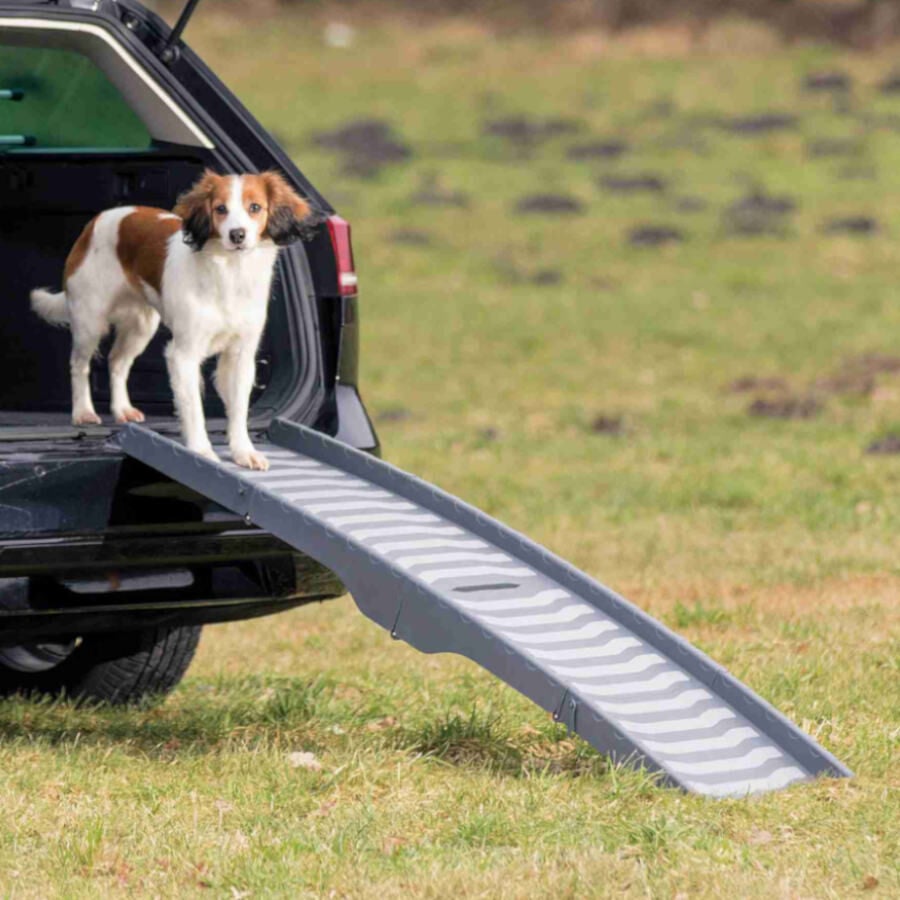 Trixie Rampa Dobr&aacute;vel Cinza de pl&aacute;stico para c&atilde;es, , large Imagem n&uacute;mero 5
