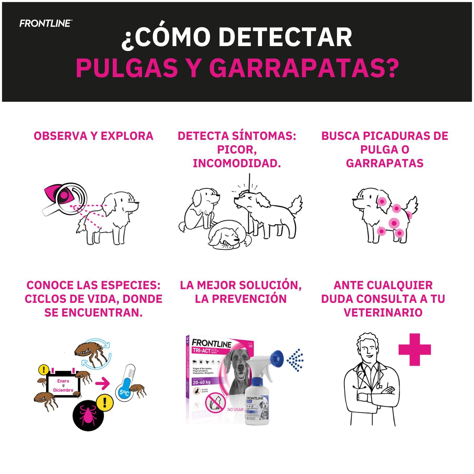 Frontline Spray Antiparasit&aacute;rio para c&atilde;es e gatos, , large Imagem n&uacute;mero 7