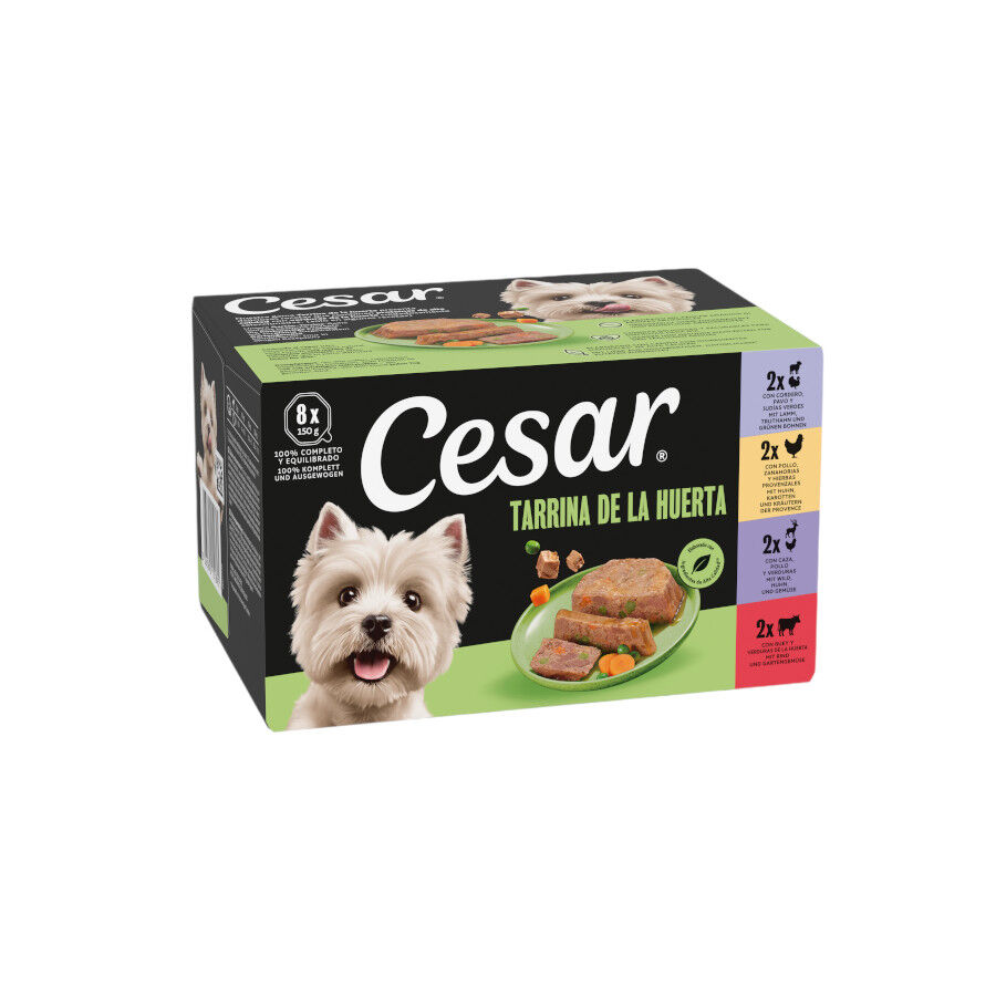 8 terrinas x 150 g Cesar Recetas da horta Terrina em Pat&ecirc; e Geleia para C&atilde;es - Multipack, , large Imagem n&uacute;mero 1