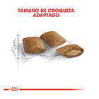 Royal Canin Ageing +12 ração para gatos, , large image number null