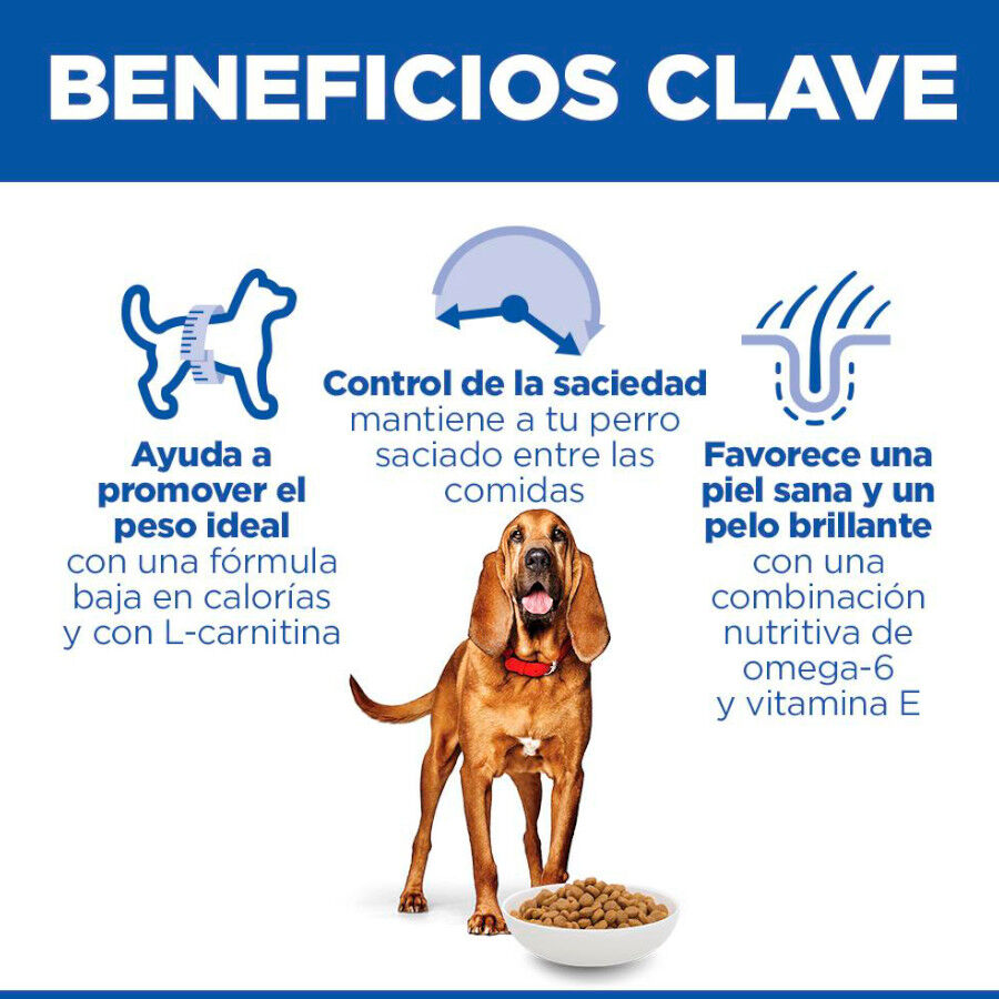 12 kg Hill's Science Plan Light Mature Adult 7+ Medium Frango ra&ccedil;&atilde;o para c&atilde;es, , large Imagem n&uacute;mero 5