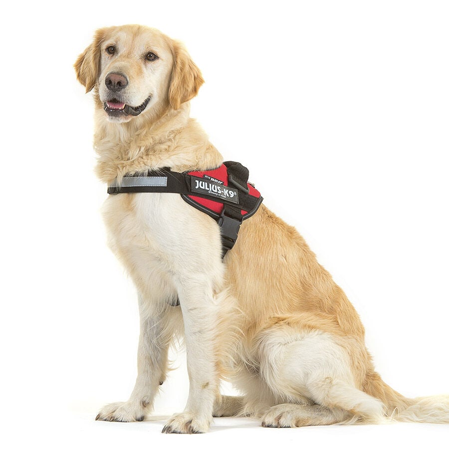 Julius-K9 IDC Peitoral Vermelho para c&atilde;es, , large Imagem n&uacute;mero 2