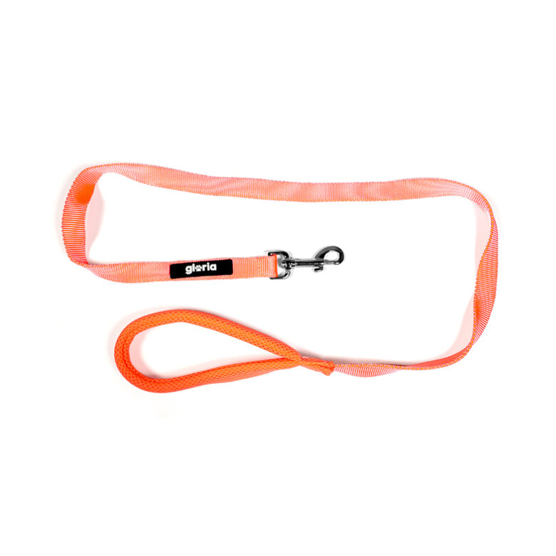 Gloria Air Mesh Trek Star Trela Laranja para cães,  Imagem número 3 Gloria Air Mesh Trek Star Trela Laranja para cães, , large Imagem número 3