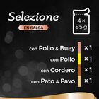 Sheba Selezione Carnes Salsa en Bolsita para Gatos - Multipack, , large image number null