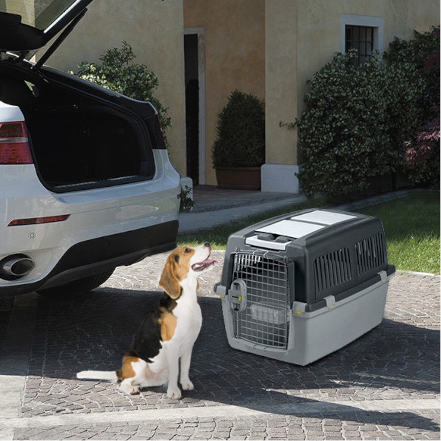 Gulliver 4 IATA Transportador para c&atilde;es, , large Imagem n&uacute;mero 3