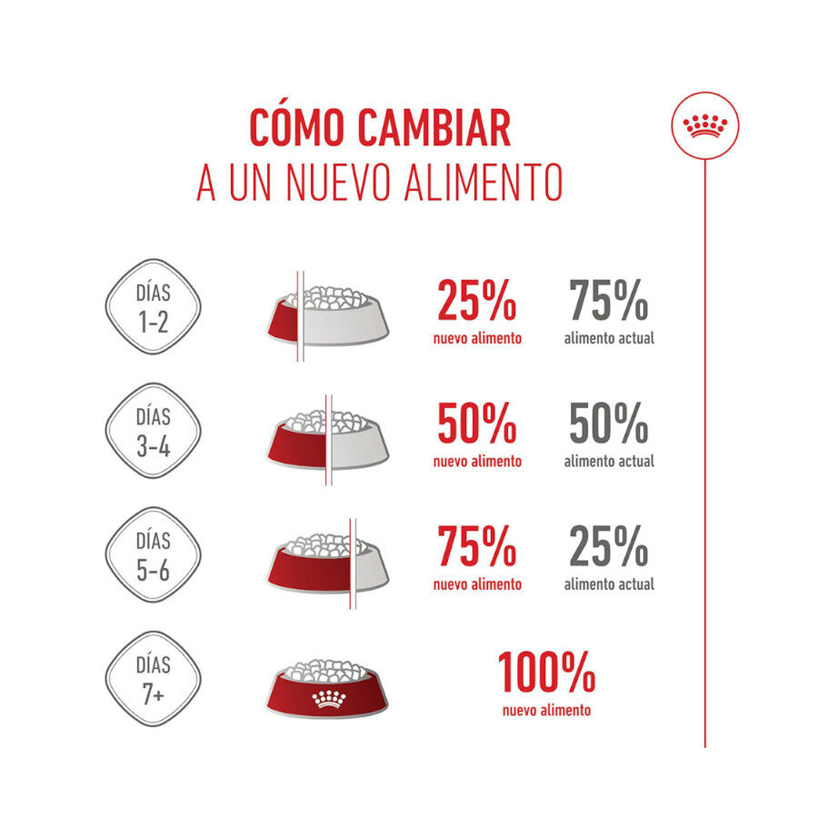 15 kg Royal Canin Puppy Maxi ra&ccedil;&atilde;o para c&atilde;es, , large Imagem n&uacute;mero 10