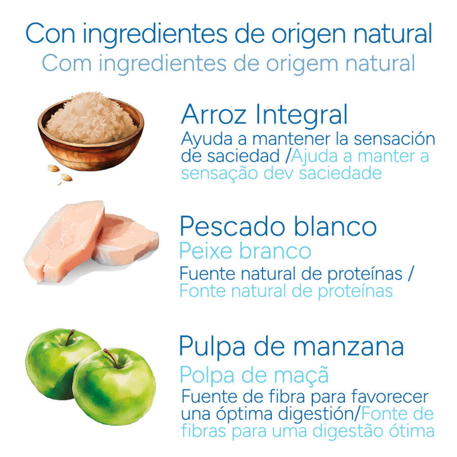 Criadores Cient&iacute;fico Senior +12 Ra&ccedil;&atilde;o de peixe para gatos, , large Imagem n&uacute;mero 5