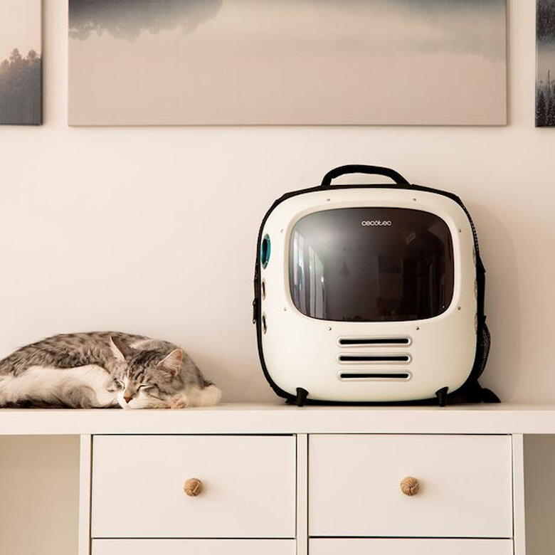 Cecotec Pumba 1800 Travel Fan Transportadora para cães e gatos,  Imagem número 10 Cecotec Pumba 1800 Travel Fan Transportadora para cães e gatos, , large Imagem número 10