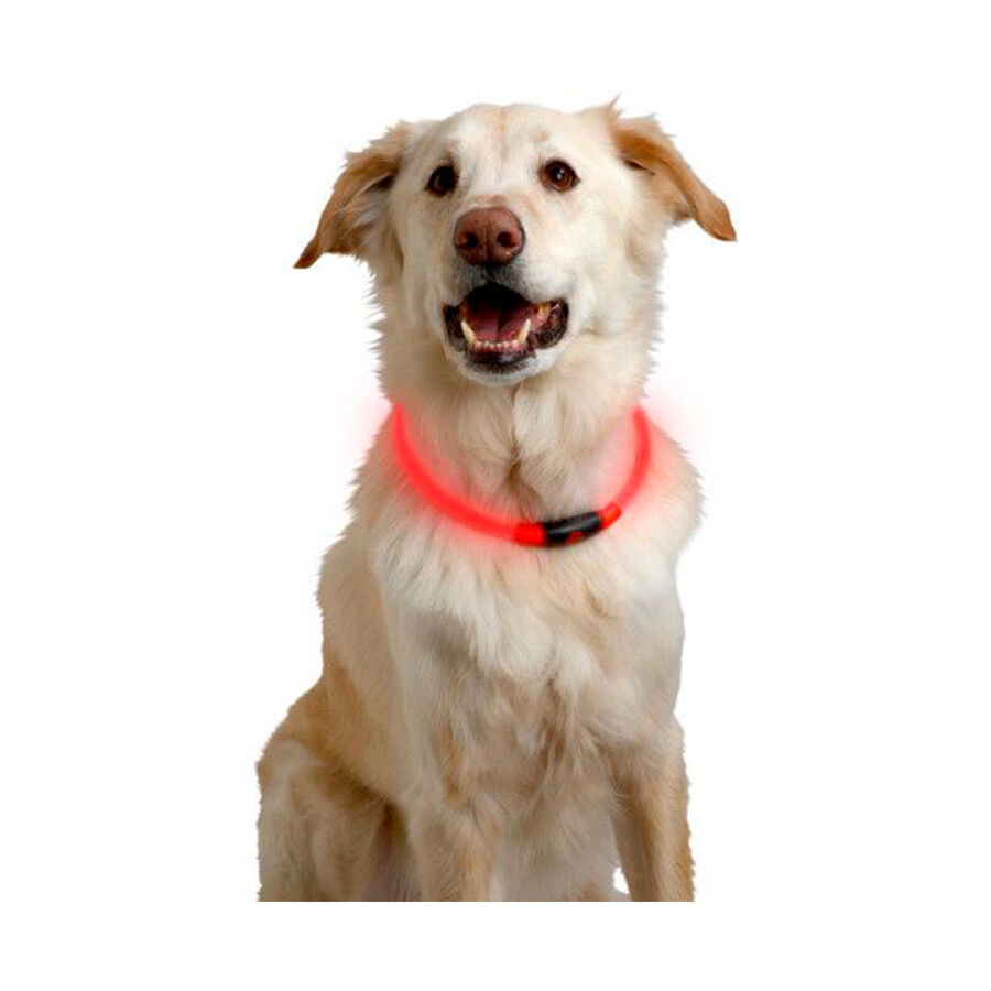 Nite Ize Nite Howl Coleira Led Vermelho para c&atilde;es, , large Imagem n&uacute;mero 3