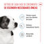 85 g Royal Canin Mini Puppy alimento húmido em molho saquetas para cães, , large Indicador imagem número 3