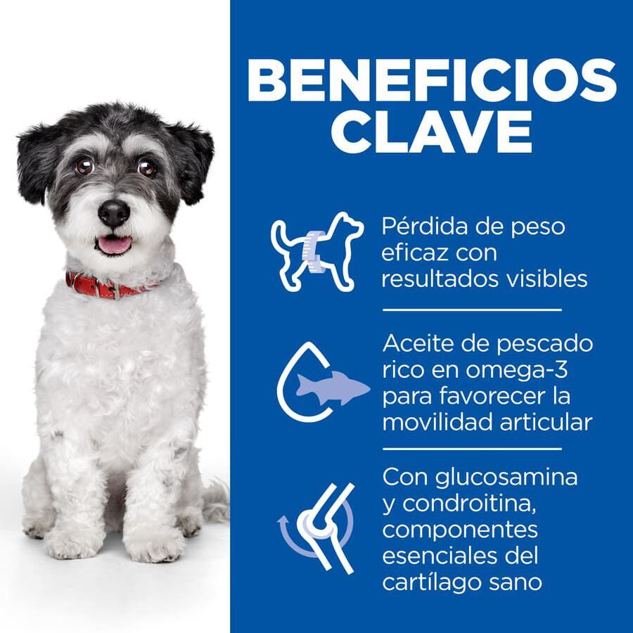 Hill's Small e Mini Perfect Weight e Active Mobility Frango ra&ccedil;&atilde;o para c&atilde;es, , large Imagem n&uacute;mero 4