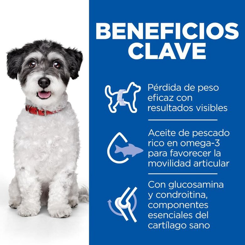 Hill's Small e Mini Perfect Weight e Active Mobility Frango ração para cães,  Imagem número 4 Hill's Small e Mini Perfect Weight e Active Mobility Frango ração para cães, , large Imagem número 4