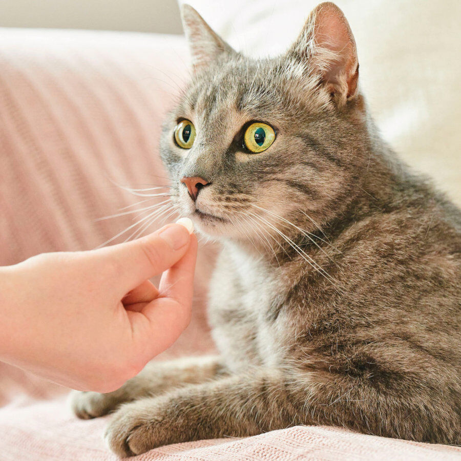 Beaphar VERMIpure Repelente Interno Natural em comprimidos para gatos e gatinhos, , large Imagem n&uacute;mero 6