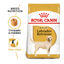 2 x 12 kg Royal Canin Adult Labrador Retriever ração para cães Pack poupança!, , large Indicador imagem número 2