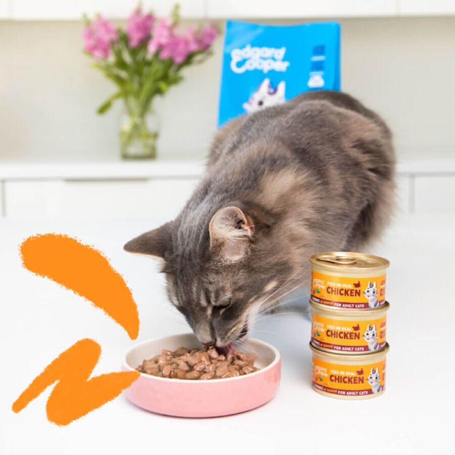 85 g Edgard & Cooper Alimento h&uacute;mido de atum e frango em lata para gatos, , large Imagem n&uacute;mero 3