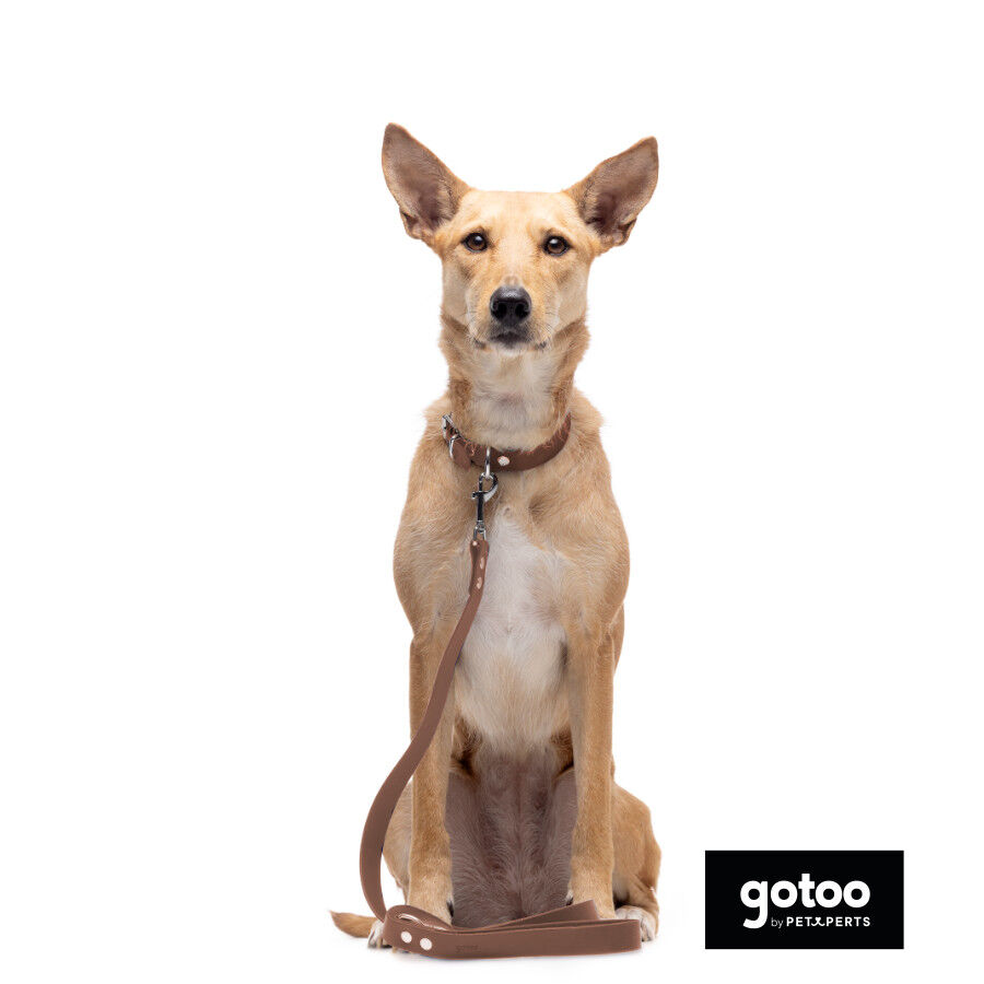 Gotoo Trela Biothane castanha para c&atilde;es, , large Imagem n&uacute;mero 5