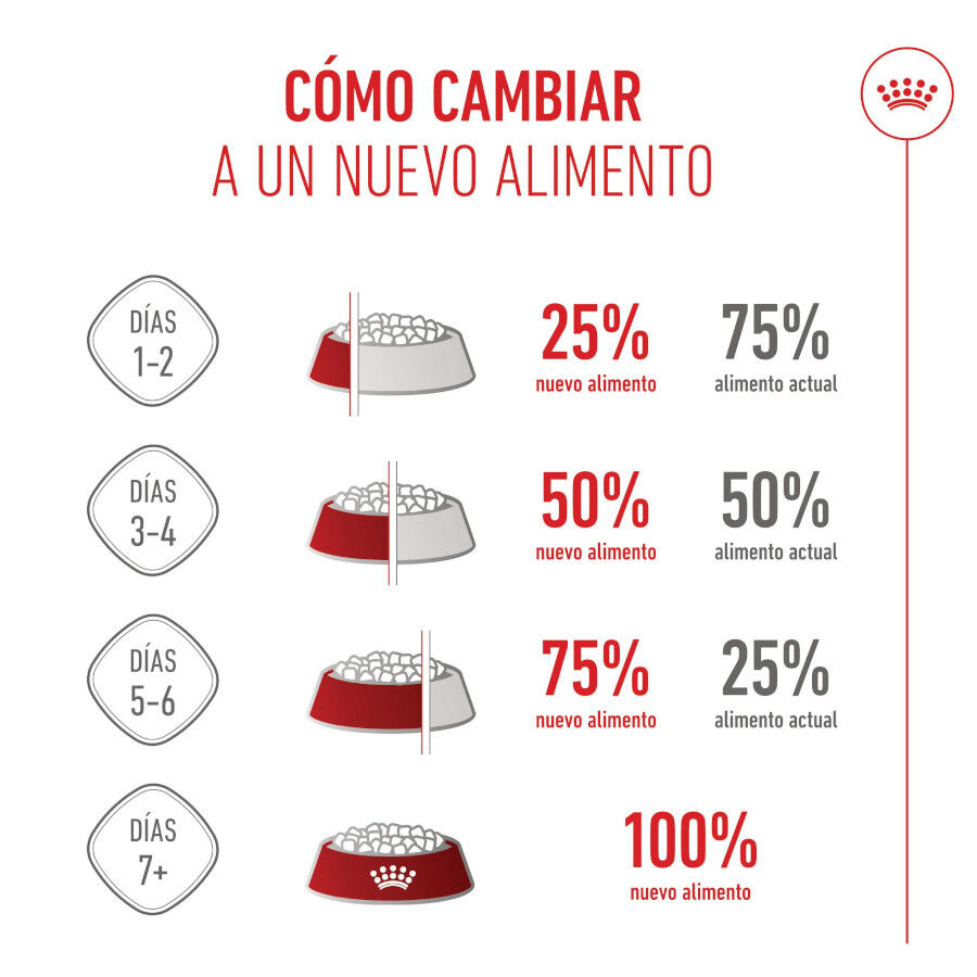 4 kg Royal Canin Mini Puppy ra&ccedil;&atilde;o para c&atilde;es, , large Imagem n&uacute;mero 10