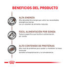 Royal Canin Veterinary Recovery lata para gatos  , , large image number null