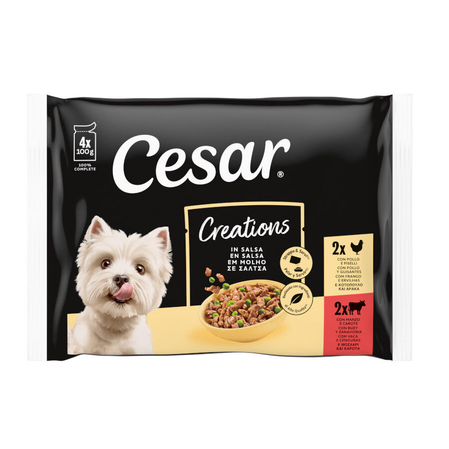 24 saquetas x 100 g Cesar Mix de Carnes em Molho Saquetas para c&atilde;es Pack poupan&ccedil;a!, , large Imagem n&uacute;mero 1