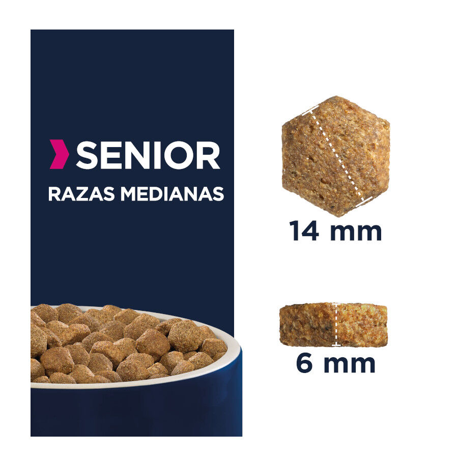 12 kg Eukanuba Senior Medium ra&ccedil;&atilde;o para c&atilde;es, , large Imagem n&uacute;mero 2