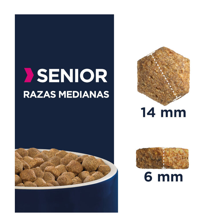 12 kg Eukanuba Senior Medium ração para cães,  Imagem número 2 12 kg Eukanuba Senior Medium ração para cães, , large Imagem número 2