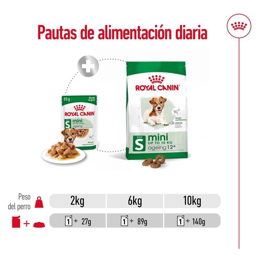 85 g Royal Canin Mini 12+ Ageing saquetas em molho para c&atilde;es, , large Imagem n&uacute;mero 6