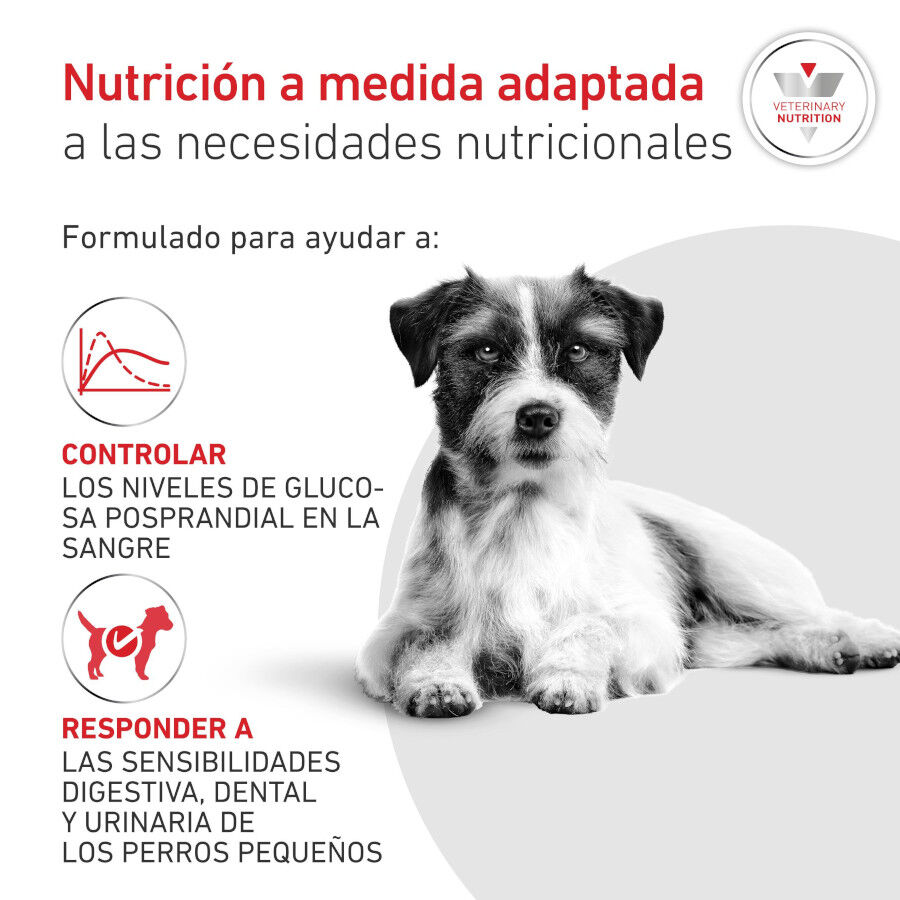 8 kg Royal Canin Glycobalance Ra&ccedil;&atilde;o para c&atilde;es, , large Imagem n&uacute;mero 3