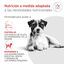 8 kg Royal Canin Glycobalance Ra&ccedil;&atilde;o para c&atilde;es, , large Indicador imagem n&uacute;mero 3