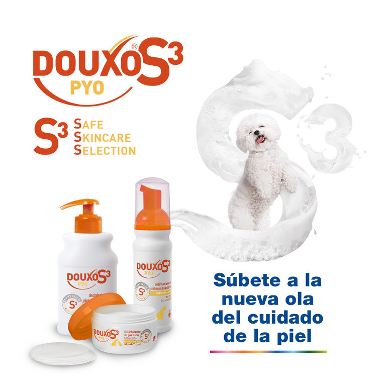 Douxo Pya Algodão Desinfetante para cães e gatos ,  Imagem número 6 Douxo Pya Algodão Desinfetante para cães e gatos , , large Imagem número 6