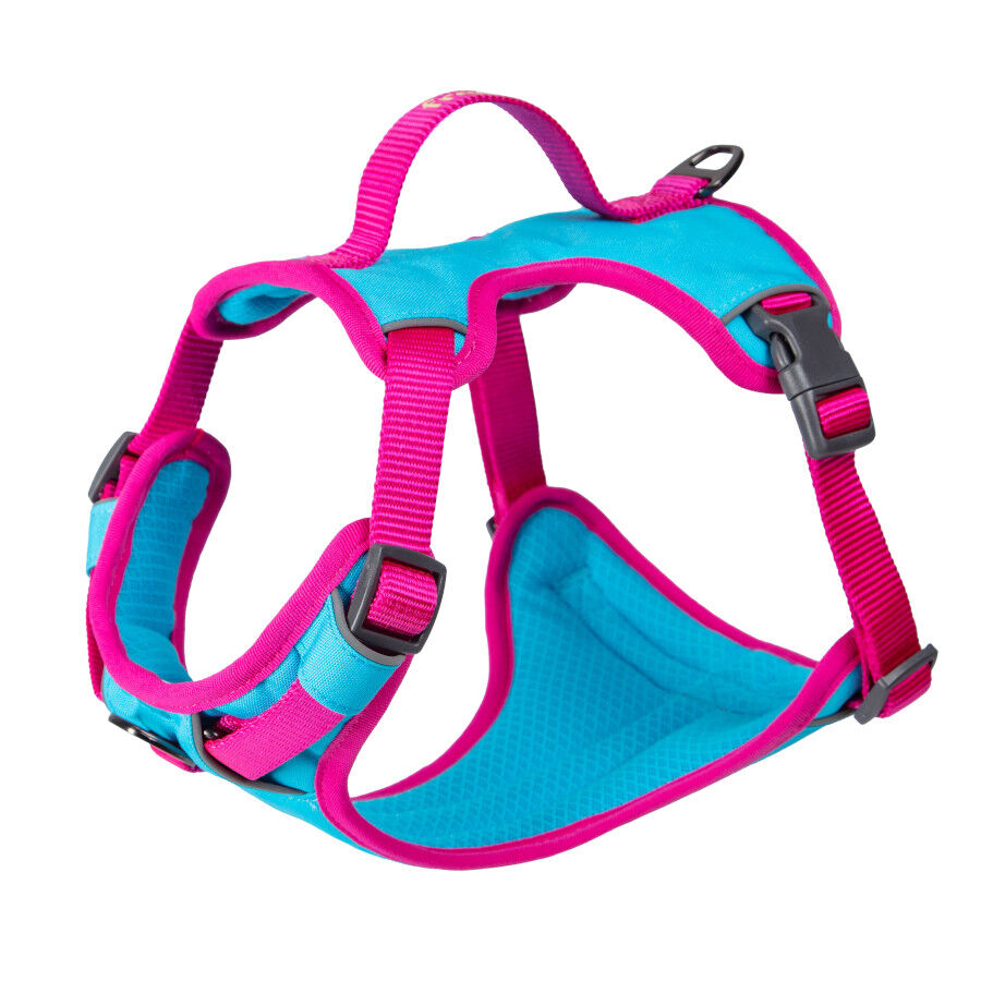 Freedog Cool Pro Tech Peitoral Desportivo F&uacute;scia para c&atilde;es, , large Imagem n&uacute;mero 2
