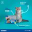 Virbac Effipro Duo Pipetas Antiparasitárias para gatos, , large Indicador imagem número 2